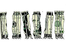 当互联网被重新计价：x402 意义解读