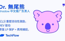 Dialogue with Shadow's Chinese Promotion Head: x(3,3) Reshaping liquidity incentives, stronger LP protection driven by MEV + fee capture