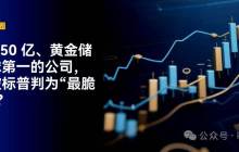 Why is a company with a profit of 15 billion and the world's largest gold reserves rated as "the most vulnerable" by S&P?