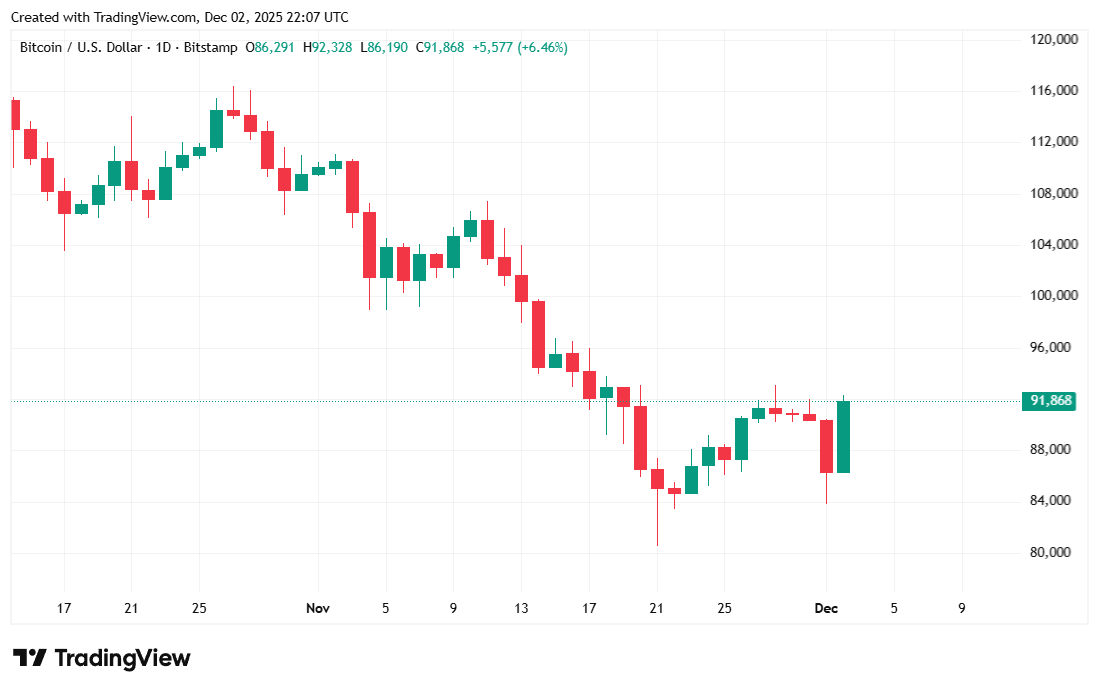 Irrational Pessimism: Have Bitcoin Investors Gone Mad?