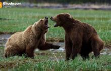 比特币失去9万美元，空头清算超过2亿美元