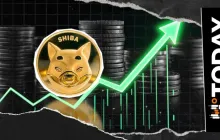 +6,894.01% 柴犬币暴涨：几个月以来最大的信号