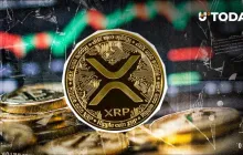 XRP是前十名中唯一一个交易量为正的资产