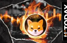 34,397,753 SHIB 被销毁，销毁率跃升 274%：详情