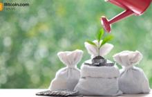 比特币ETF资金流入回升，以太坊资金流出加深