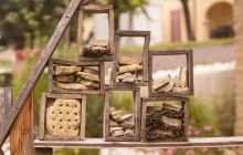 CZ and Peter Schiff have a heated debate: Which is better, Bitcoin or gold?