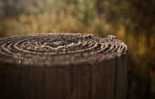 Cryptocurrency mining companies are under pressure on profits; is tax planning the way to break the deadlock?