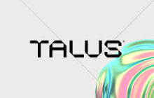 DeAI的真正圣杯：Talus的“全链上”方案