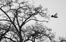 How to Become a Web3 Super Individual? A Personal Awakening Guide in the AI + Crypto Era