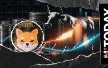 -192,633,232,960.9718 狗狗币 (SHIB) 在24小时内：又一个看涨的周末？