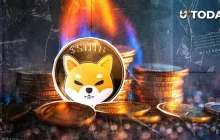 柴犬币燃烧量激增1567%，引发SHIB复苏：接下来会怎样？