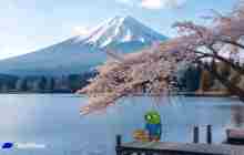 On the eve of the Bank of Japan's interest rate hike, why did Bitcoin drop first as a courtesy?