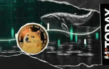 Dogecoin Whales Go Quiet, What\\\'s Going On?
