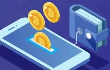 Briefly describe the history of blockchain wallets and the market landscape in 2025.