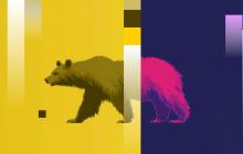 今日加密市场：基于Cardano的NIGHT暴跌，ZEC和XMR也下跌