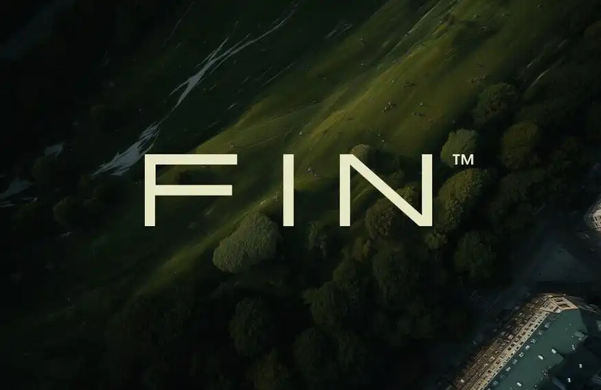 The three giants bet $17 million, FIN strongly enters the cross-border payment market.