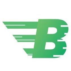 Coin Logo