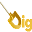 DIG