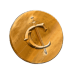 Coin Logo
