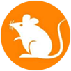 https://static.aicoinstorge.com/coin/20231215/170264215475617.png