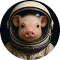 moonpig