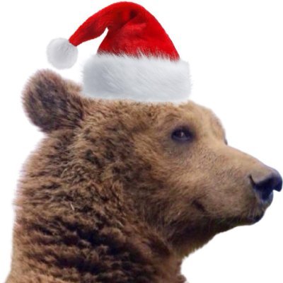 0xSky 新东方反指专科毕业现开挖掘机