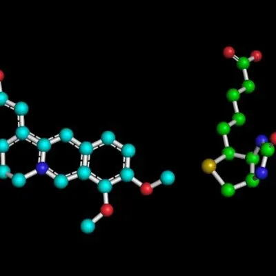 Berberine&Biotin