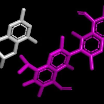 Gossypol & (+)- Catechin hydrate