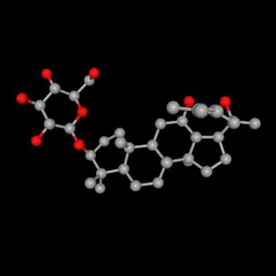 LongevityLabs Ginsenoside Rh2