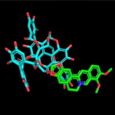 Berberine & Punicalagin