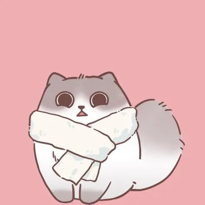 🐱老师埋伏日记