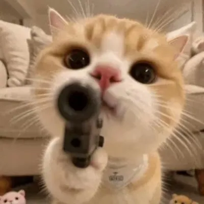 小牛