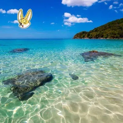 金狗王 🔆