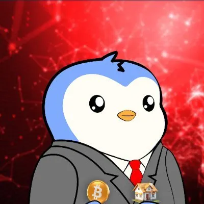 Satoshi Flipper
