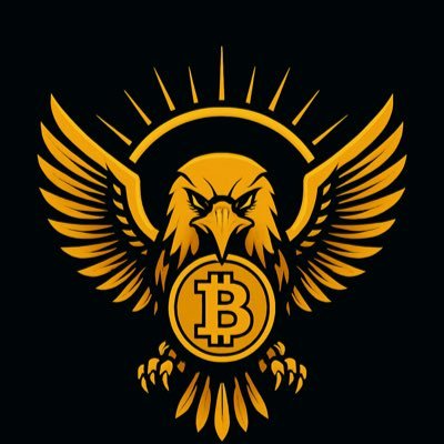老鹰🦅